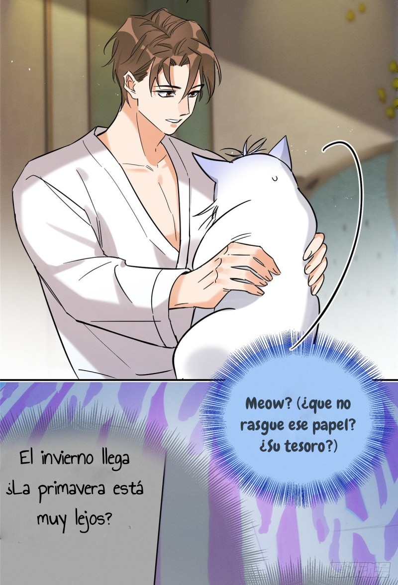 37 Tengo que trabajar duro para ser un gato hoy!