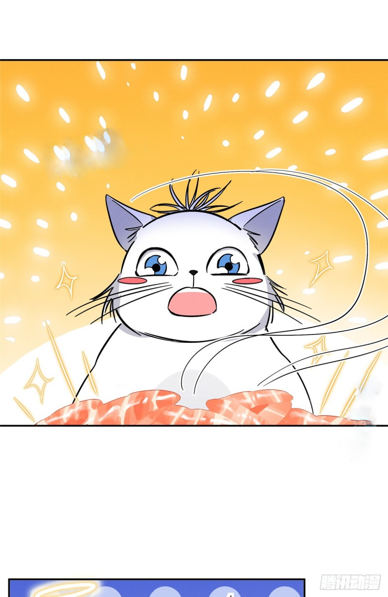 0 Tengo que trabajar duro para ser un gato hoy!