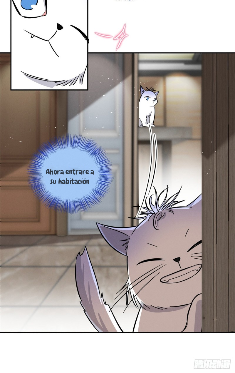 10 Tengo que trabajar duro para ser un gato hoy!