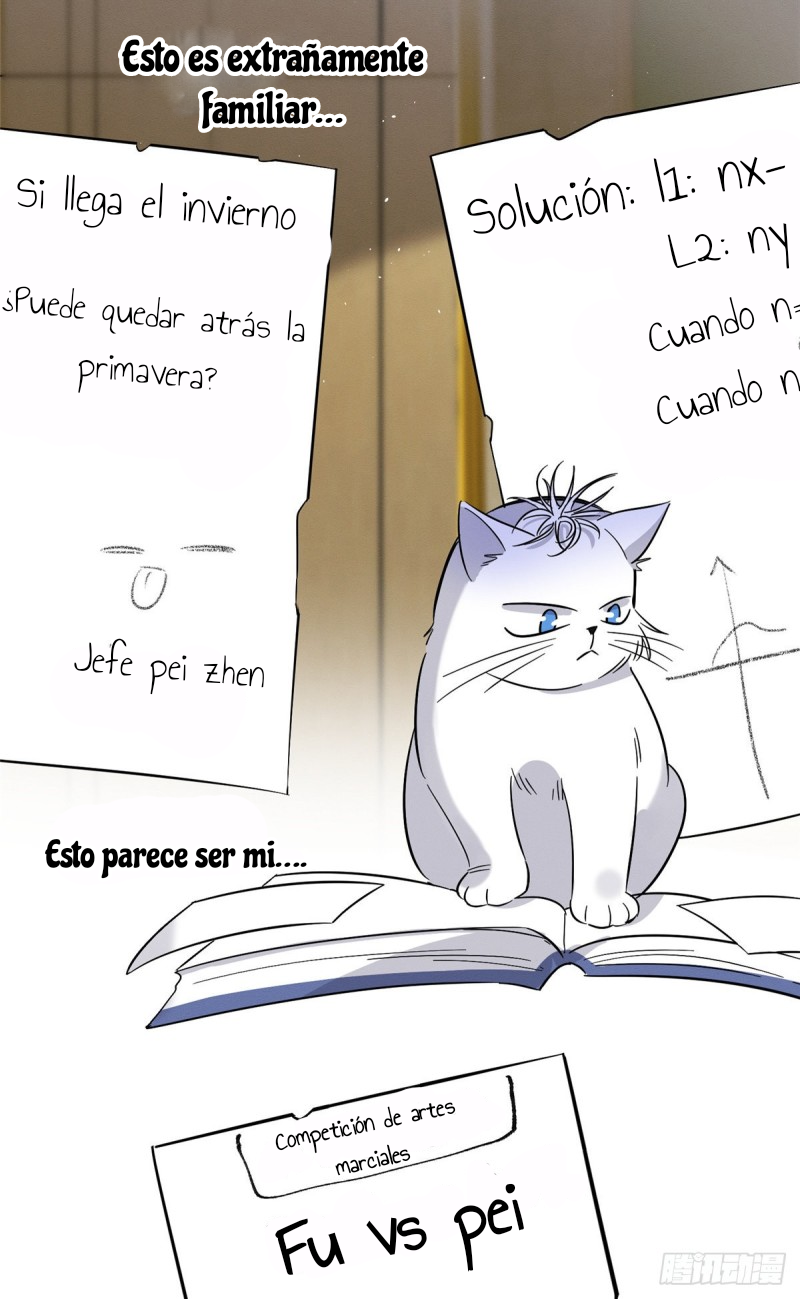 15 Tengo que trabajar duro para ser un gato hoy!