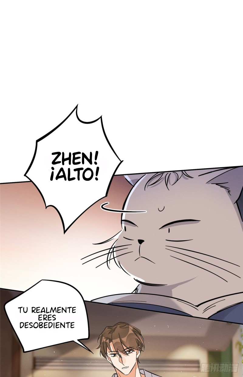 33 Tengo que trabajar duro para ser un gato hoy!