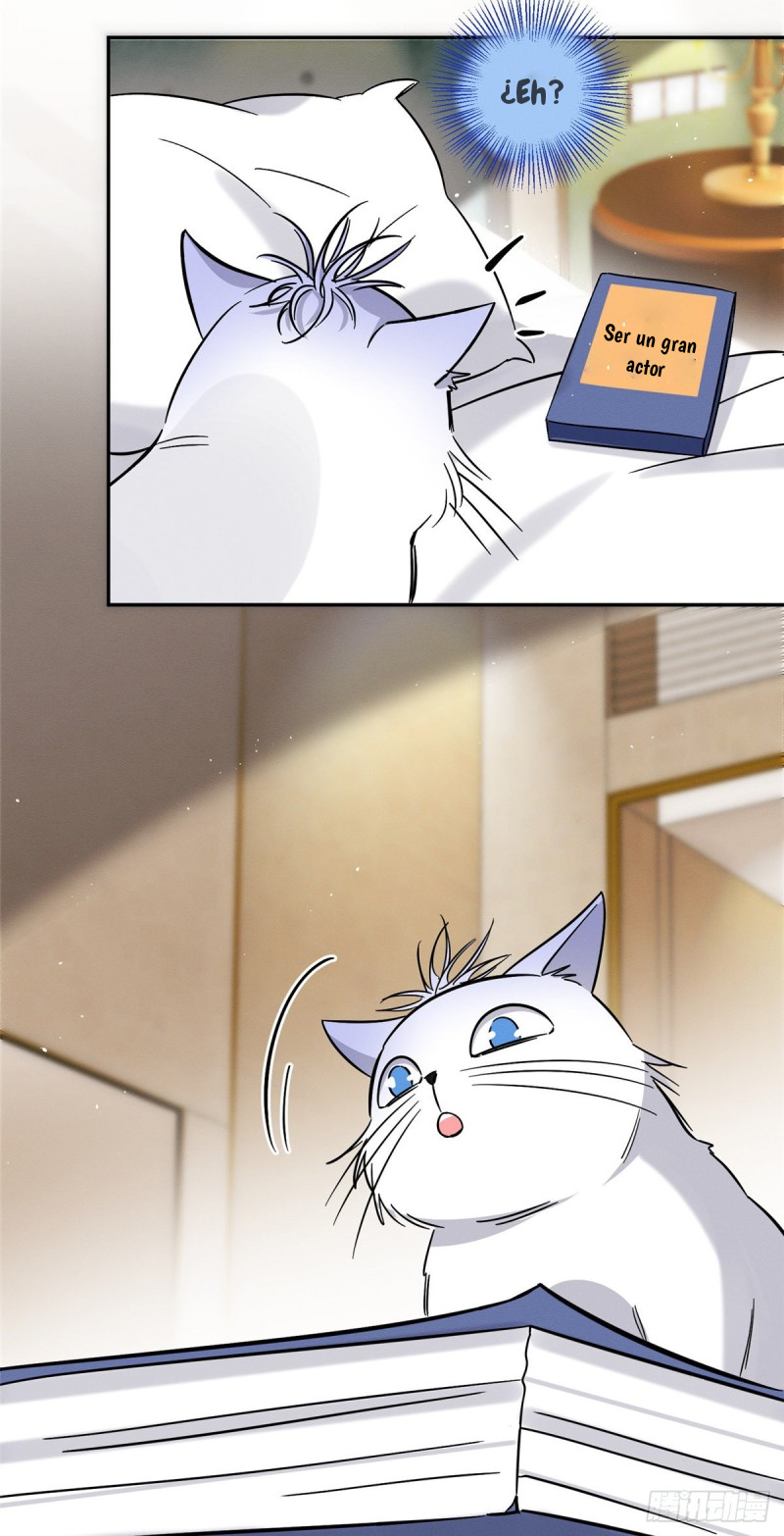 12 Tengo que trabajar duro para ser un gato hoy!