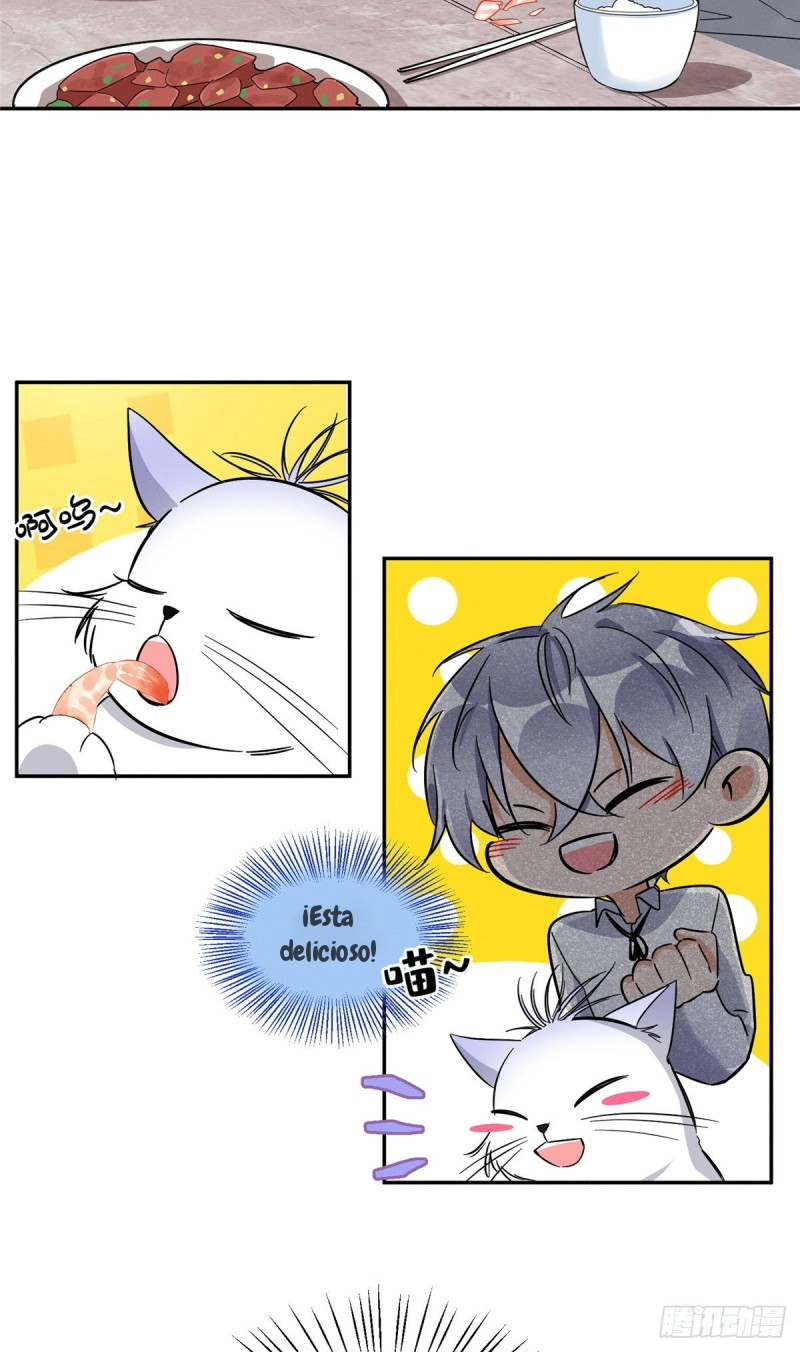 4 Tengo que trabajar duro para ser un gato hoy!