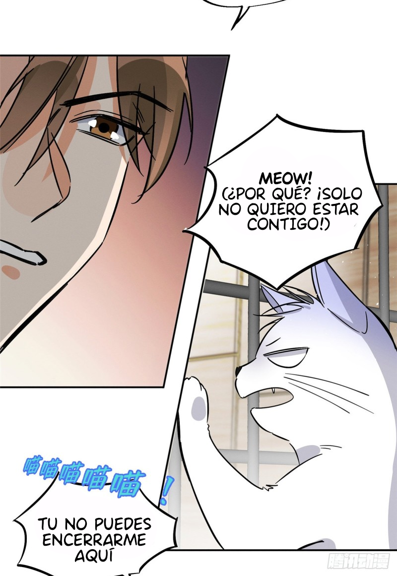 4 Tengo que trabajar duro para ser un gato hoy!