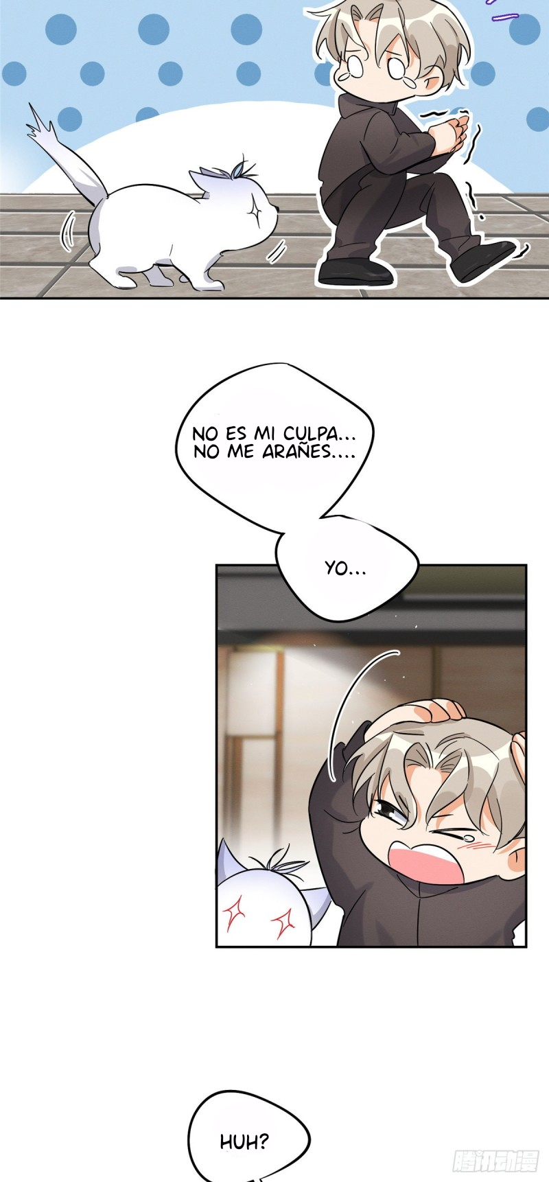 23 Tengo que trabajar duro para ser un gato hoy!