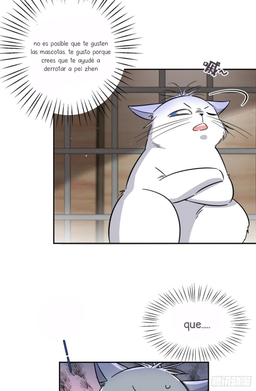 8 Tengo que trabajar duro para ser un gato hoy!