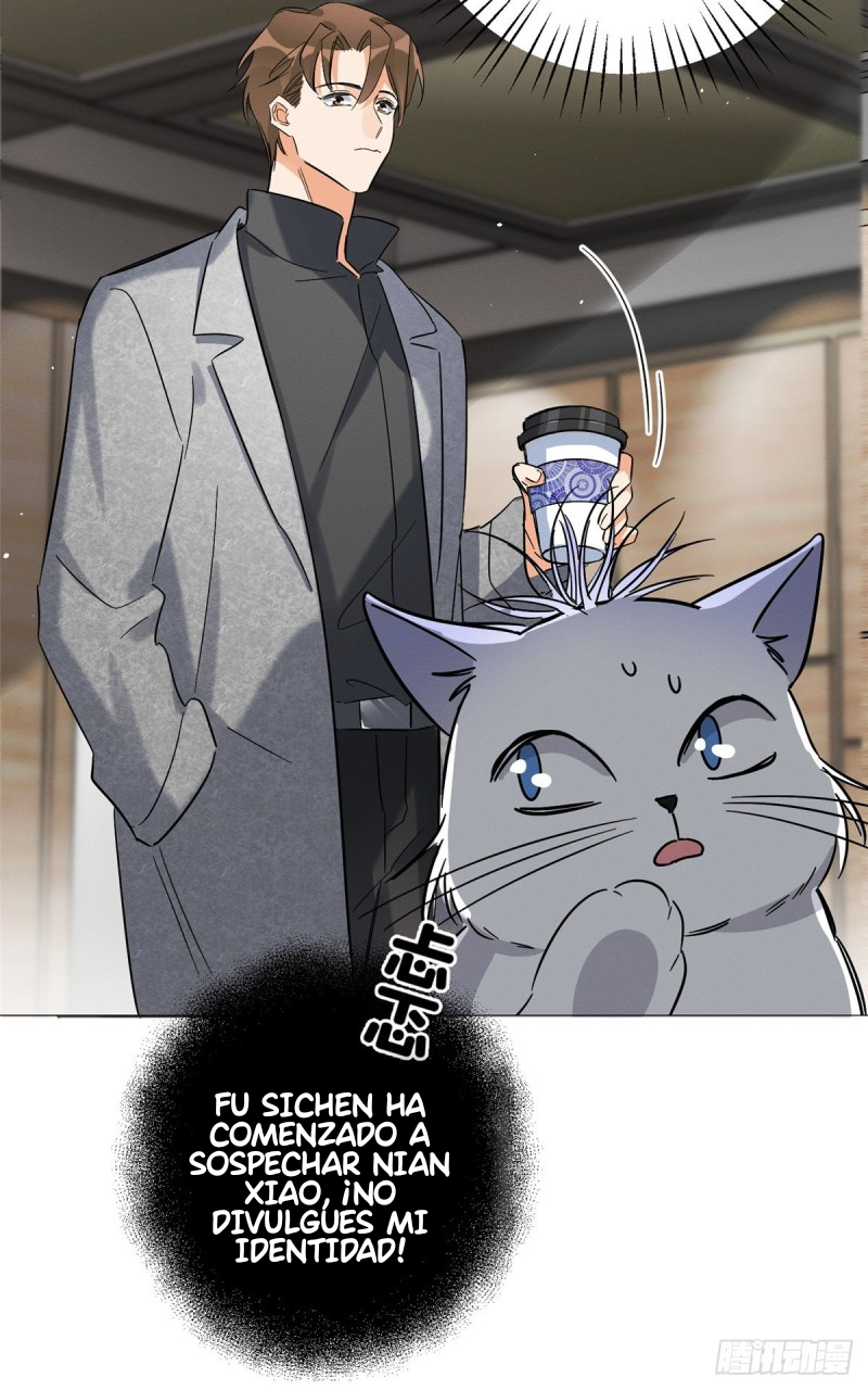 34 Tengo que trabajar duro para ser un gato hoy!