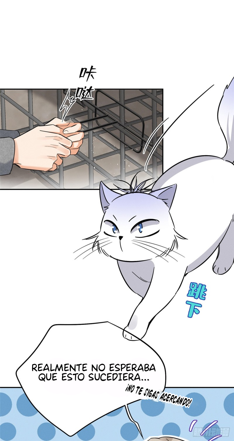 22 Tengo que trabajar duro para ser un gato hoy!