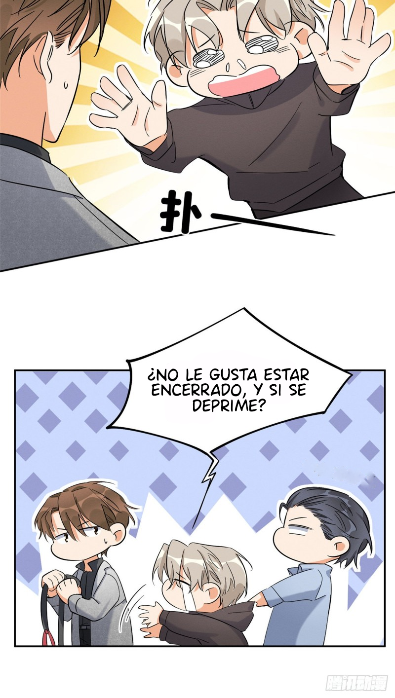 17 Tengo que trabajar duro para ser un gato hoy!