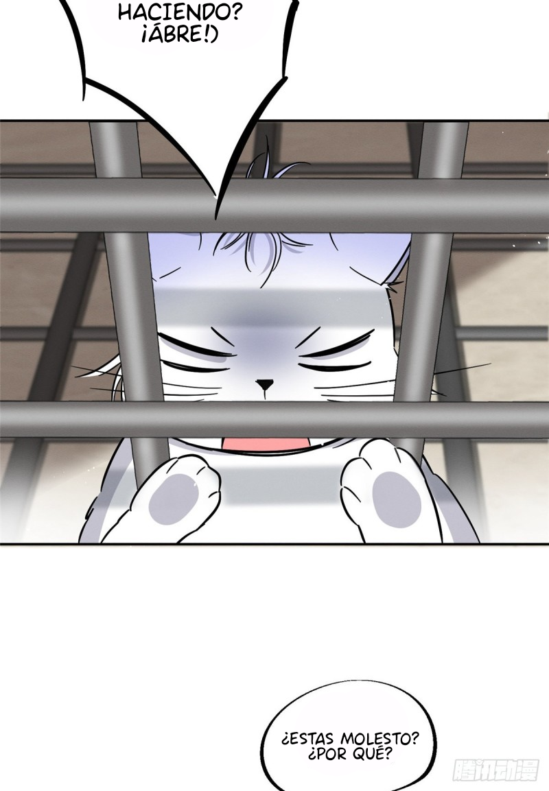 3 Tengo que trabajar duro para ser un gato hoy!