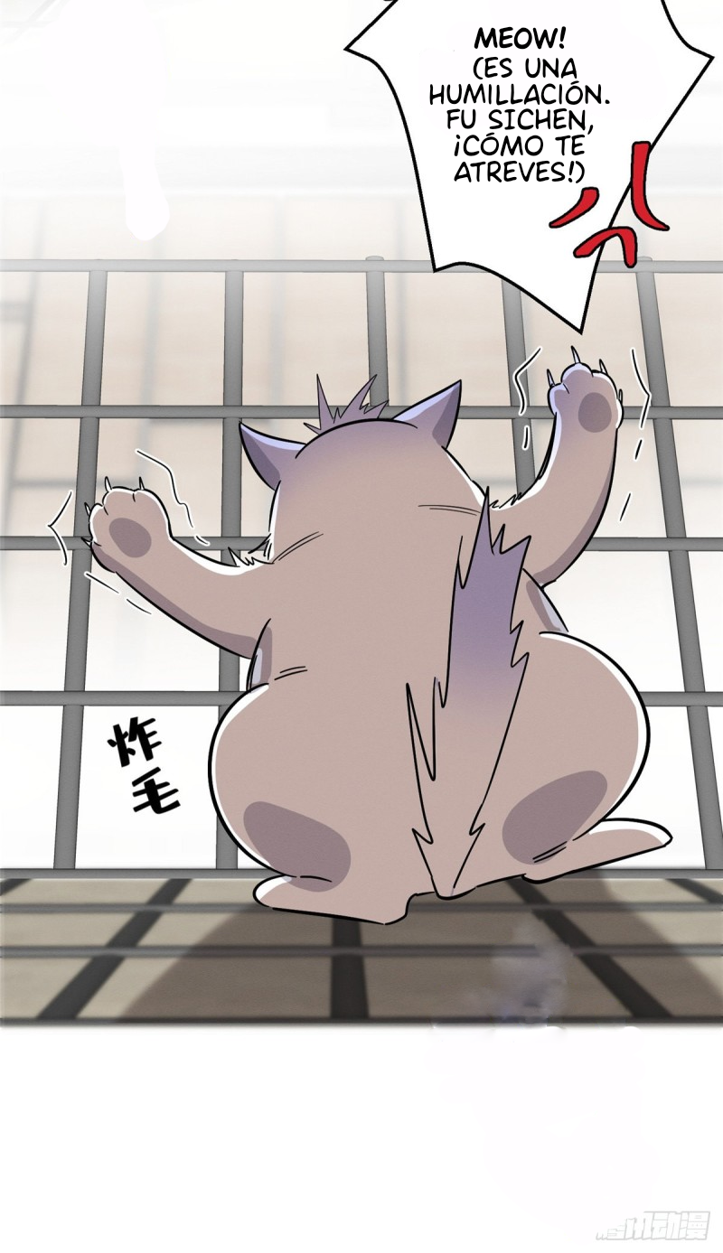 15 Tengo que trabajar duro para ser un gato hoy!