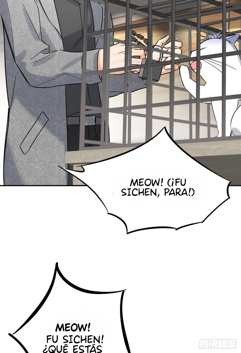 2 Tengo que trabajar duro para ser un gato hoy!