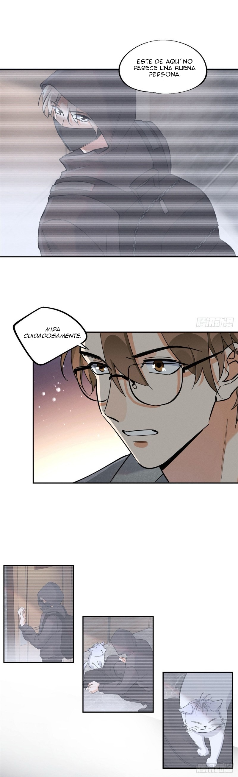 7 Tengo que trabajar duro para ser un gato hoy!