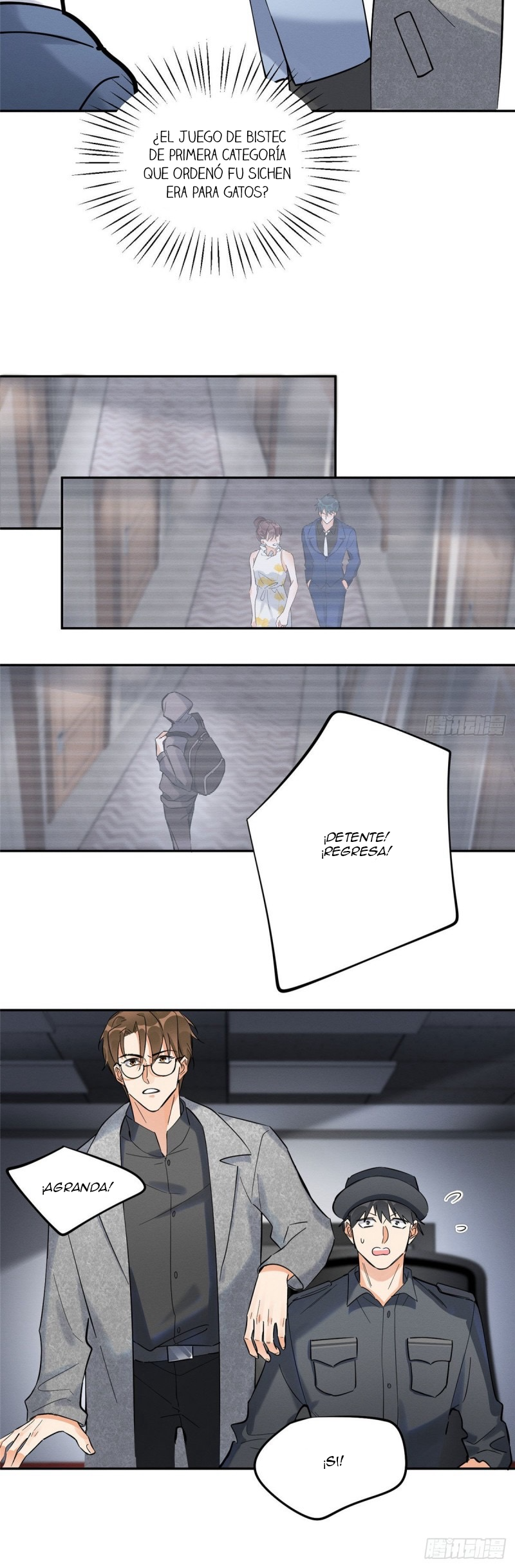 6 Tengo que trabajar duro para ser un gato hoy!