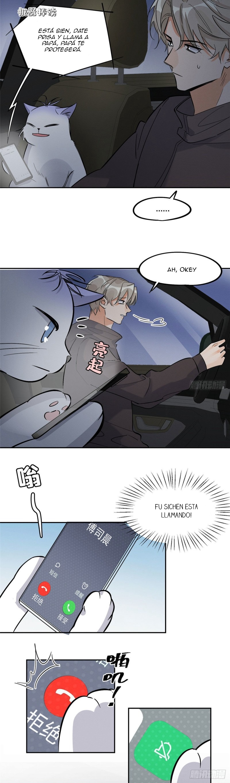 13 Tengo que trabajar duro para ser un gato hoy!