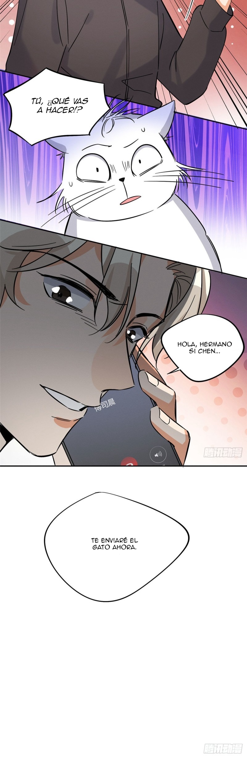 20 Tengo que trabajar duro para ser un gato hoy!