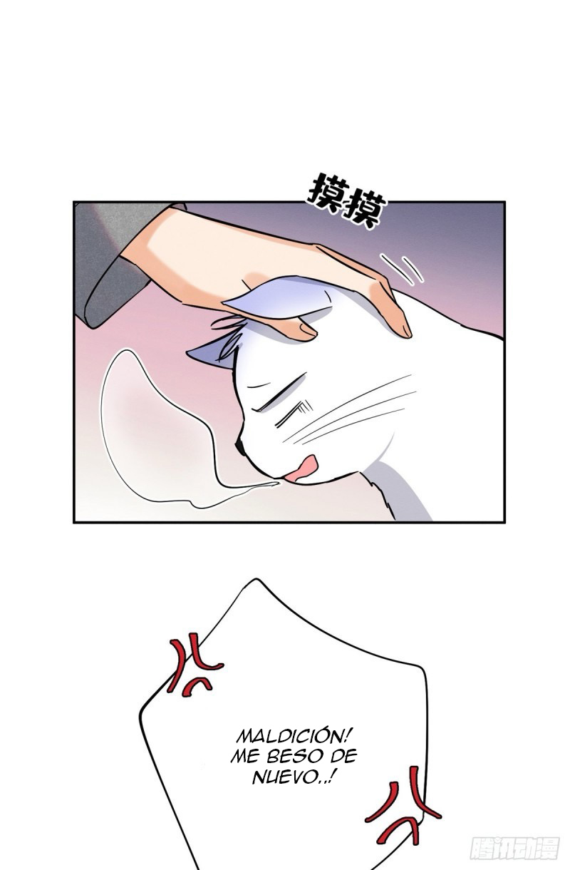 23 Tengo que trabajar duro para ser un gato hoy!