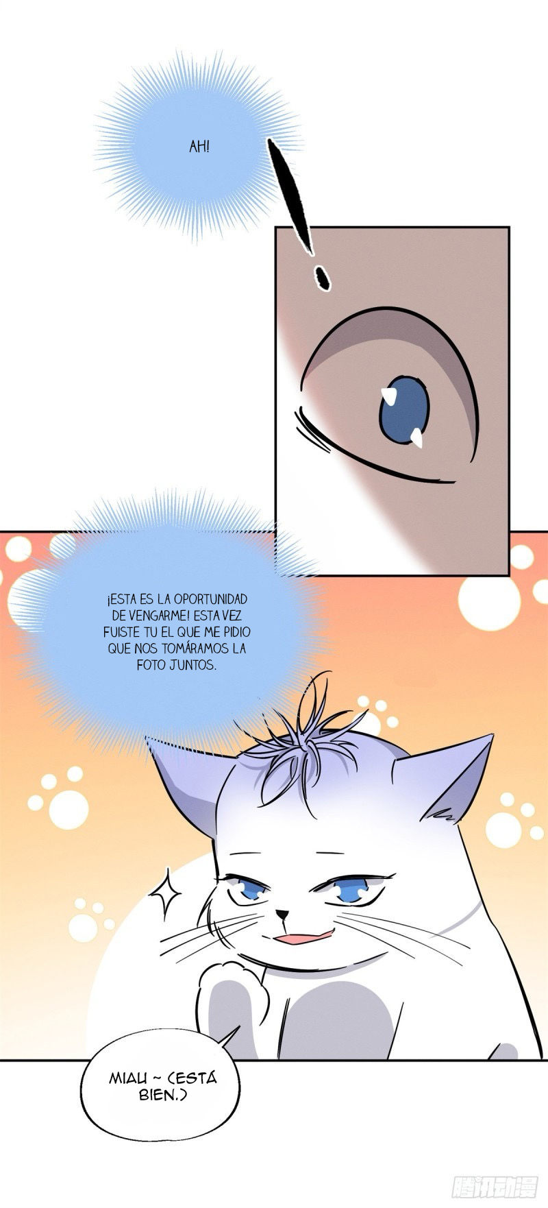 3 Tengo que trabajar duro para ser un gato hoy!