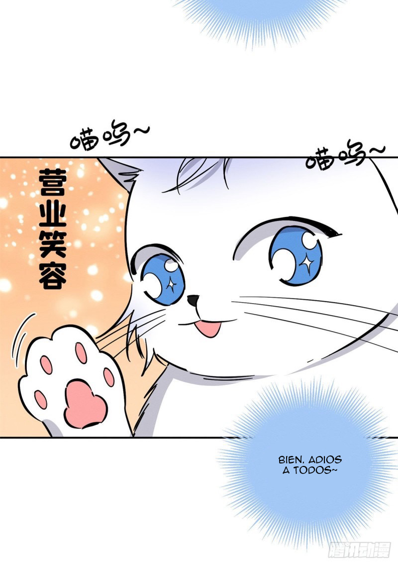 20 Tengo que trabajar duro para ser un gato hoy!