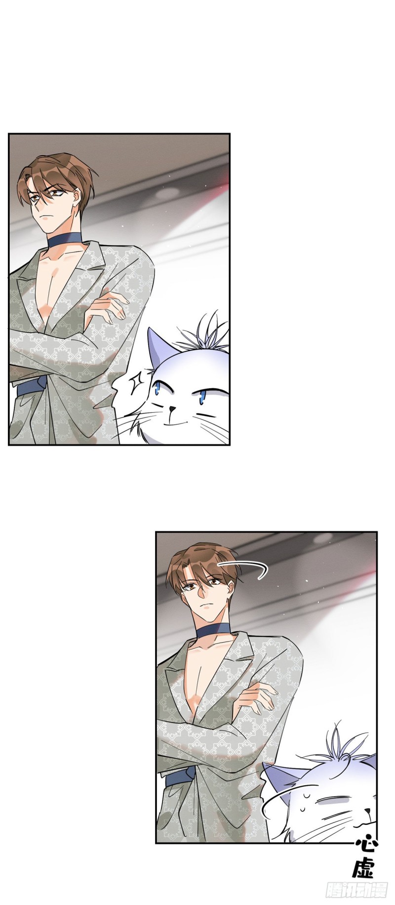 5 Tengo que trabajar duro para ser un gato hoy!