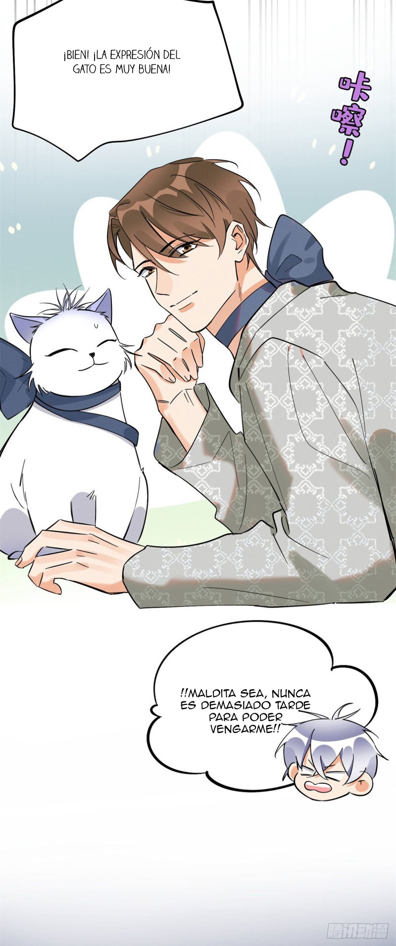 7 Tengo que trabajar duro para ser un gato hoy!