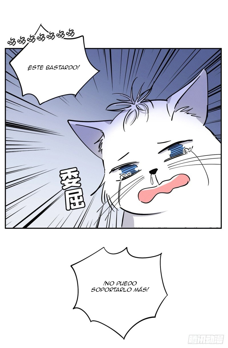 25 Tengo que trabajar duro para ser un gato hoy!