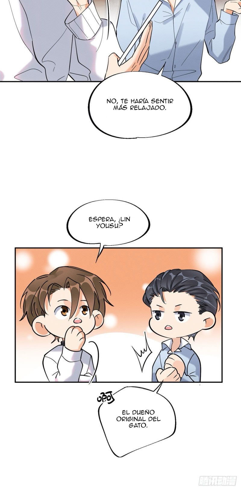 11 Tengo que trabajar duro para ser un gato hoy!