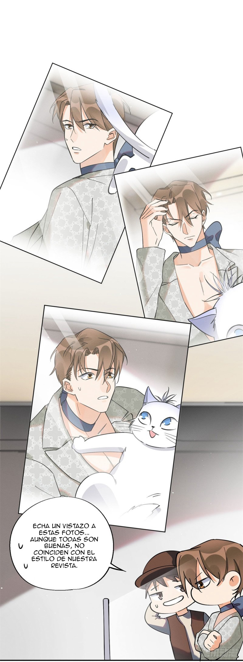 4 Tengo que trabajar duro para ser un gato hoy!