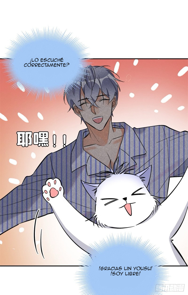 19 Tengo que trabajar duro para ser un gato hoy!