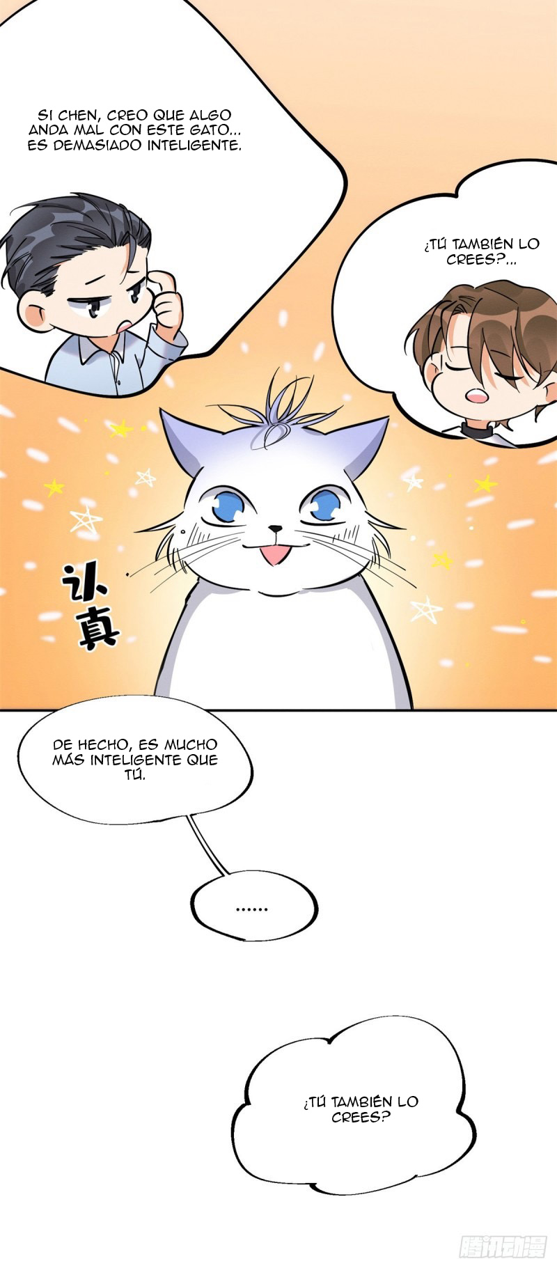 13 Tengo que trabajar duro para ser un gato hoy!