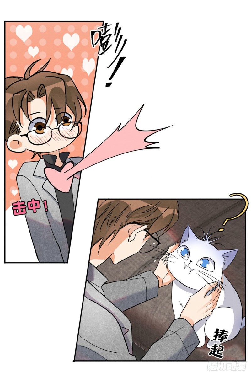 21 Tengo que trabajar duro para ser un gato hoy!