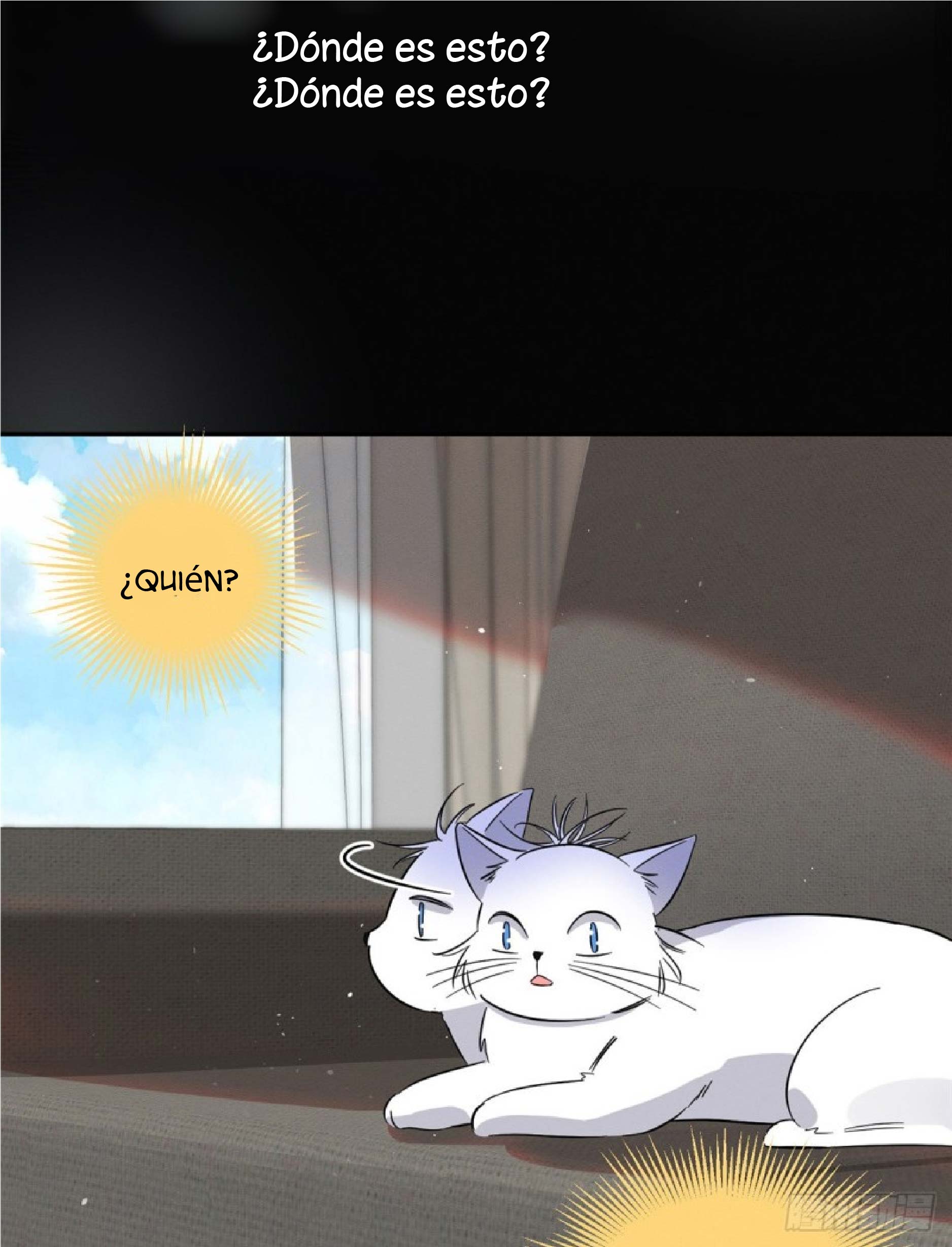 14 Tengo que trabajar duro para ser un gato hoy!