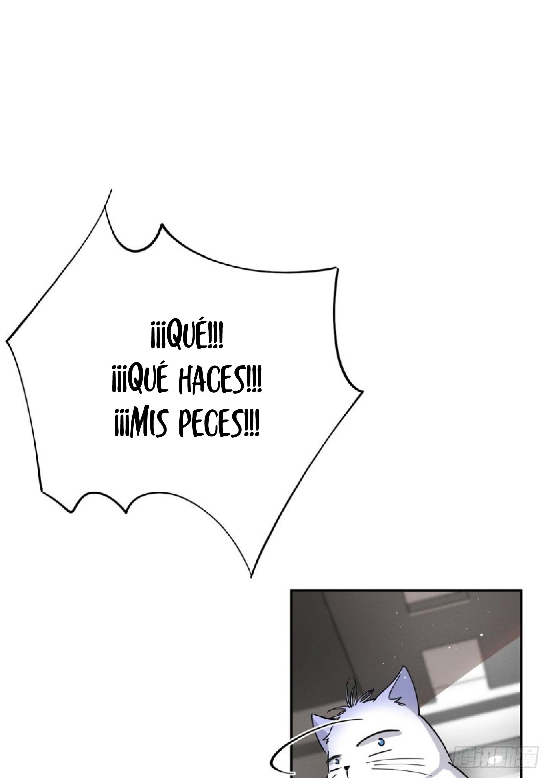 25 Tengo que trabajar duro para ser un gato hoy!