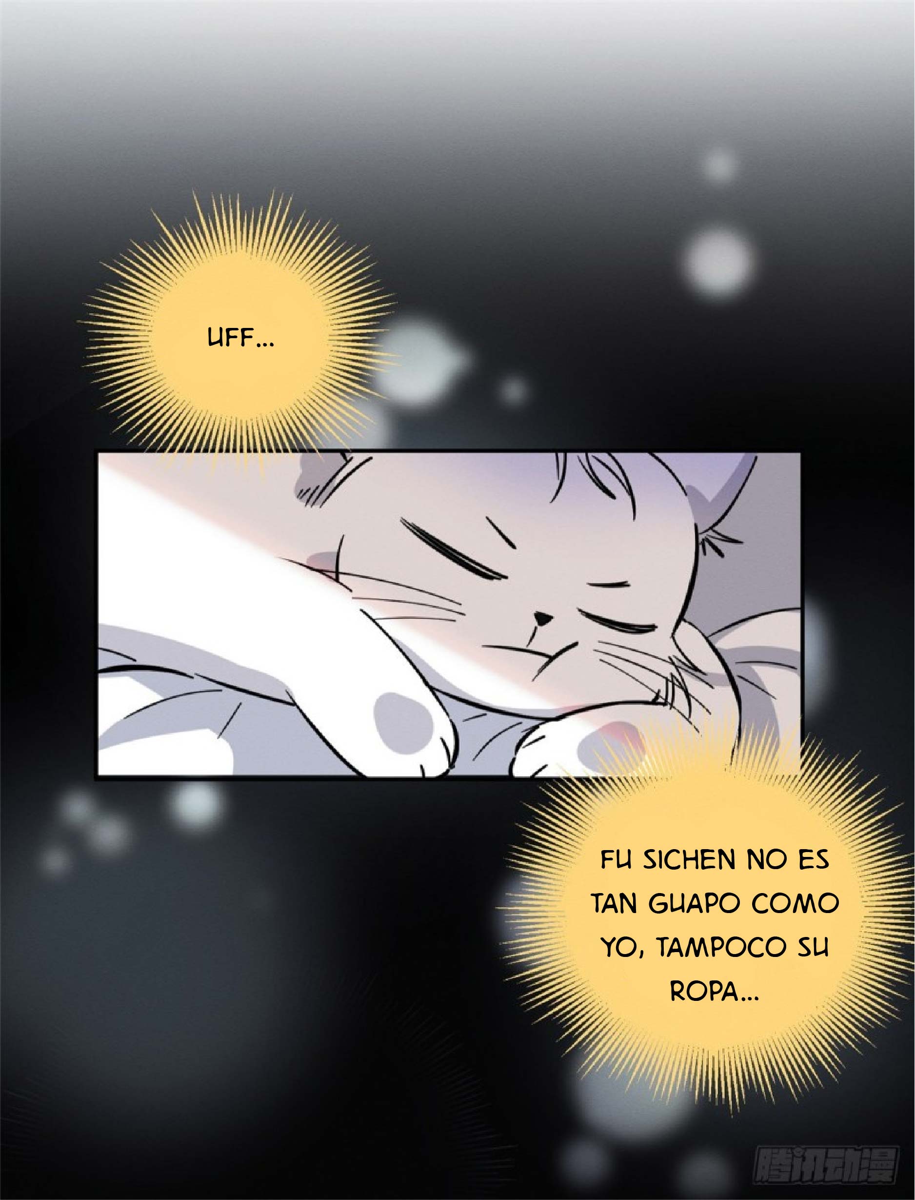 12 Tengo que trabajar duro para ser un gato hoy!