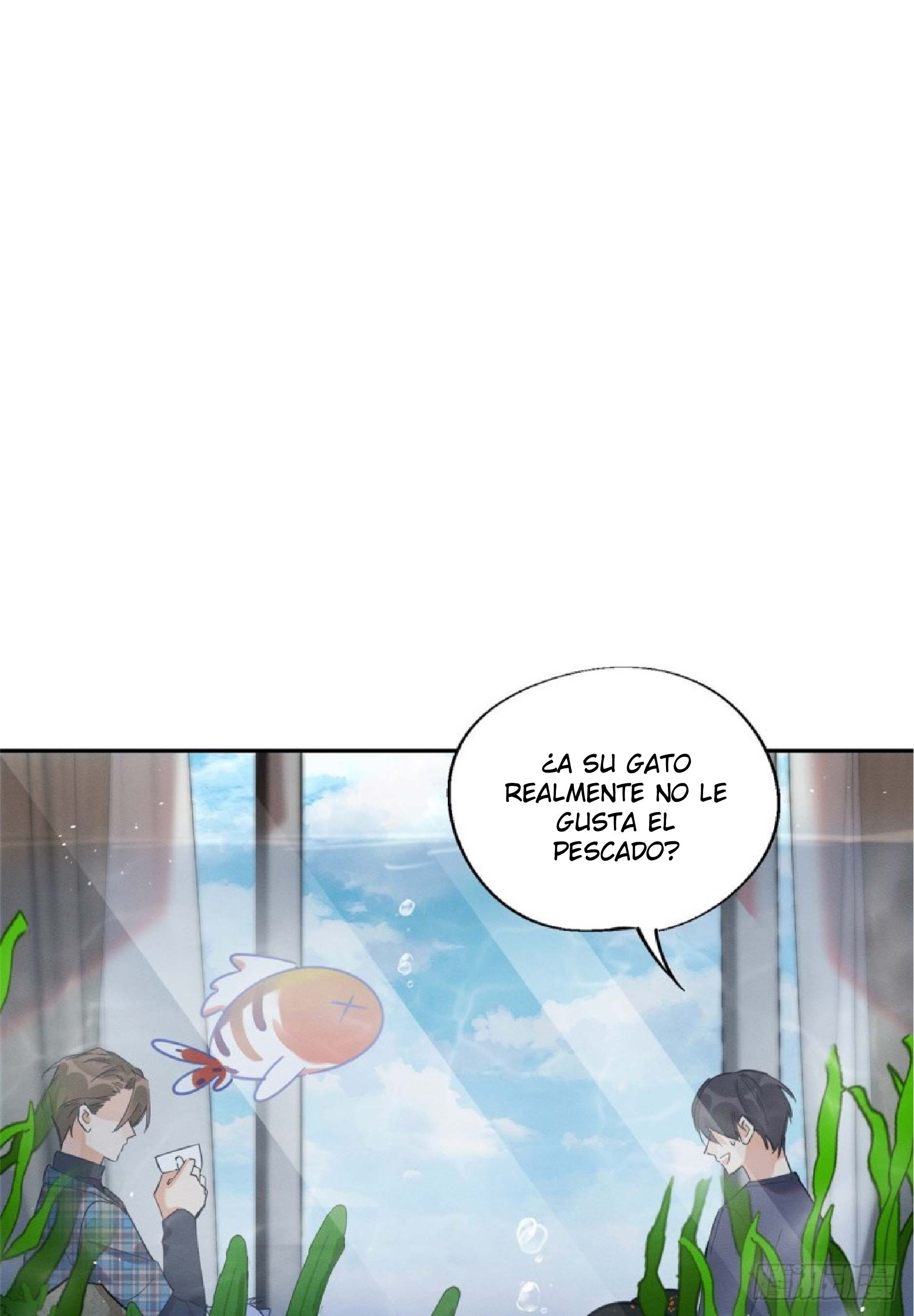 0 Tengo que trabajar duro para ser un gato hoy!