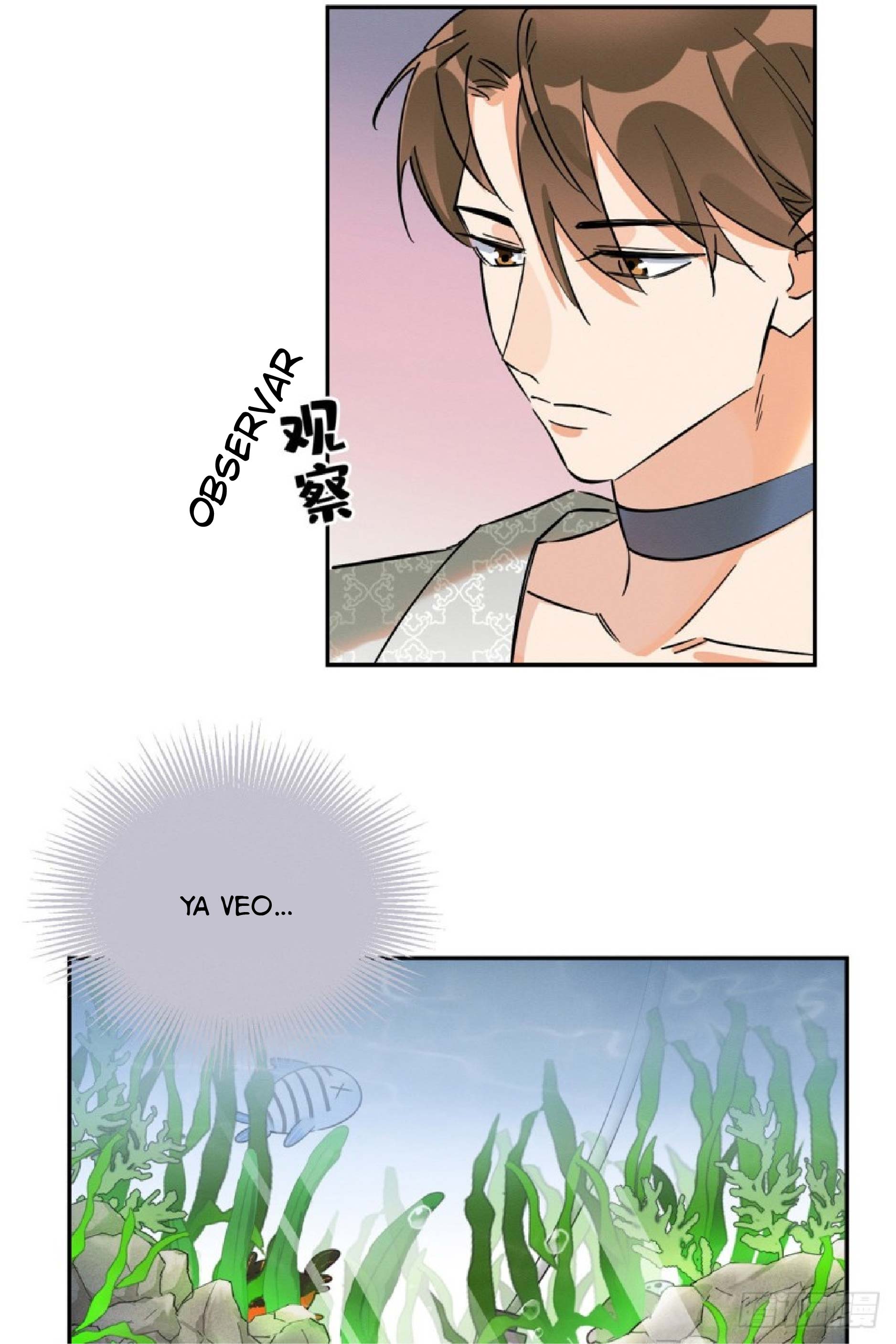 37 Tengo que trabajar duro para ser un gato hoy!