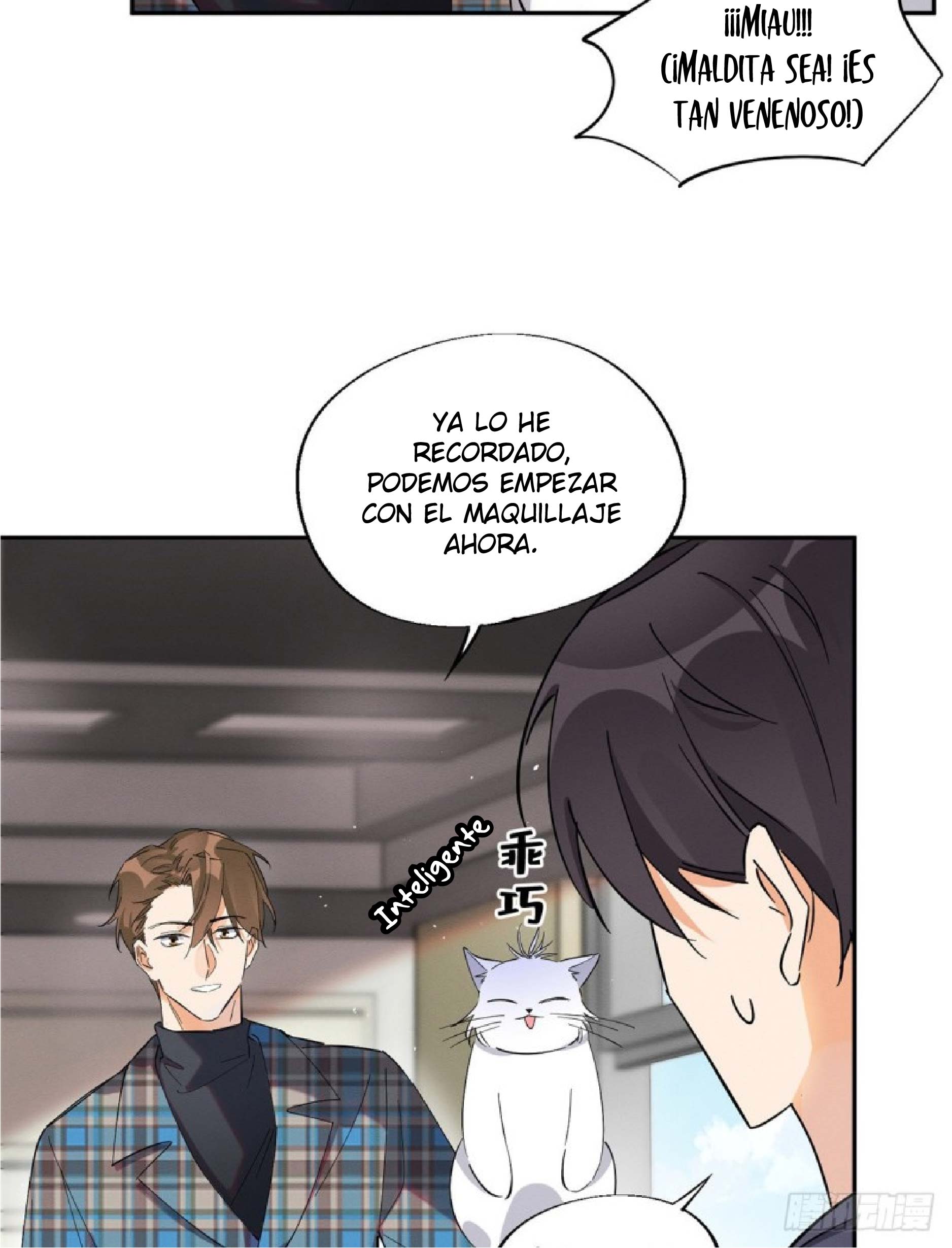 3 Tengo que trabajar duro para ser un gato hoy!