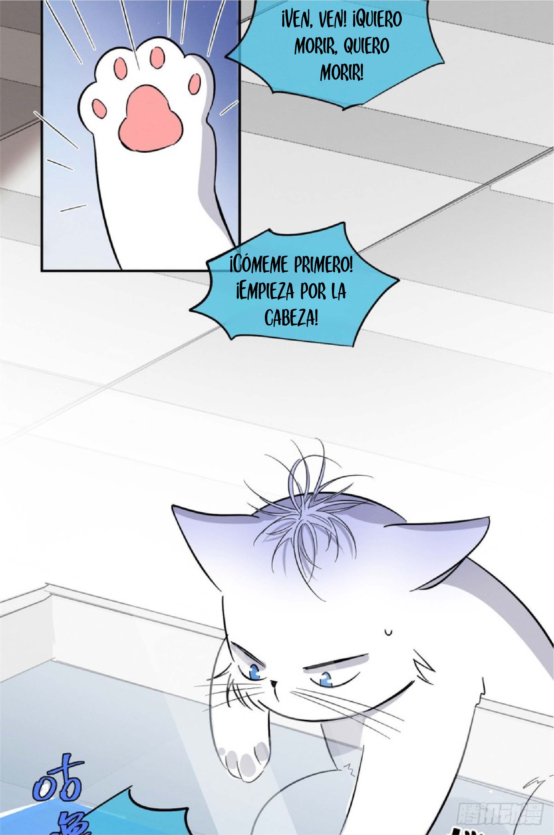 23 Tengo que trabajar duro para ser un gato hoy!