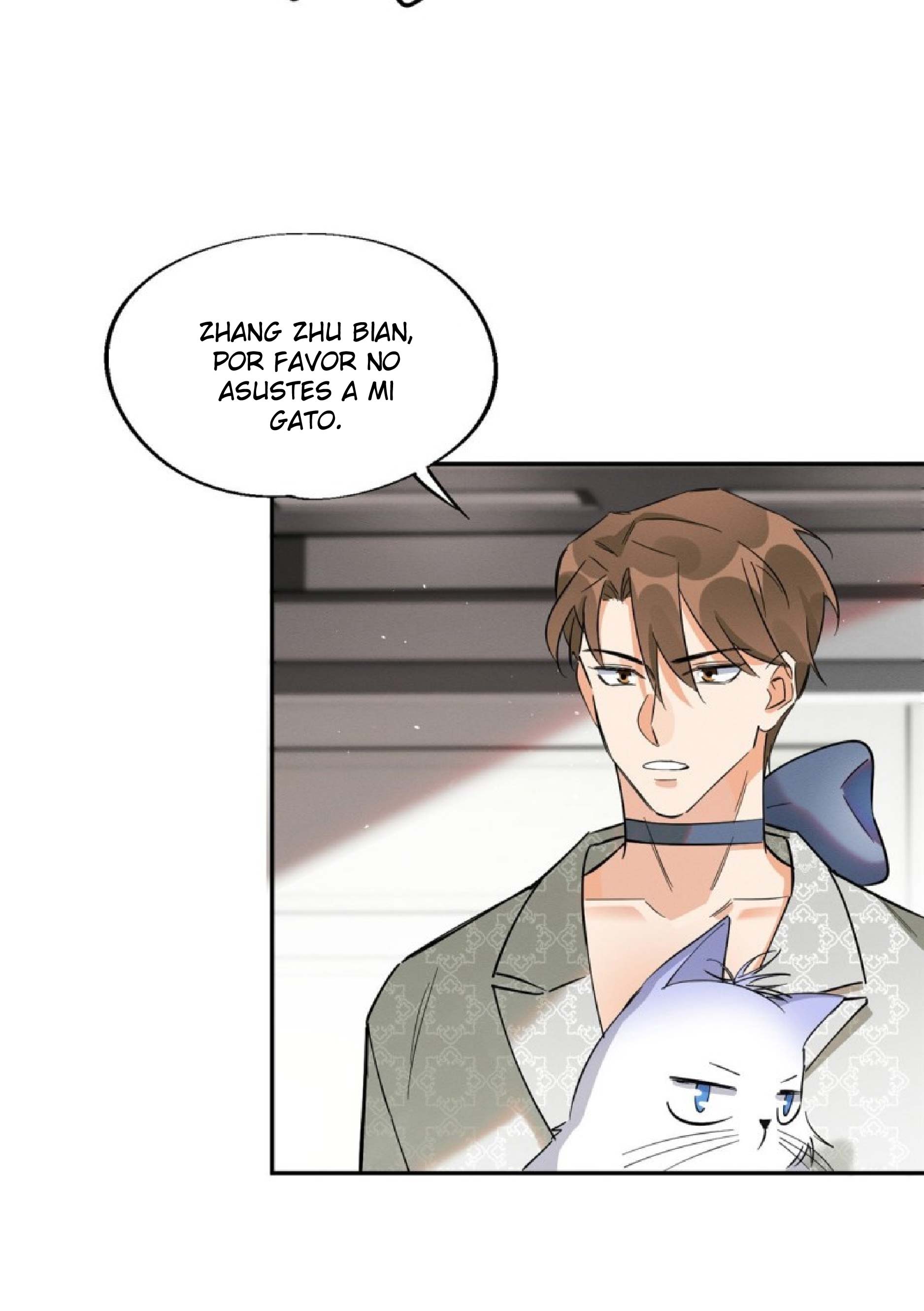 32 Tengo que trabajar duro para ser un gato hoy!