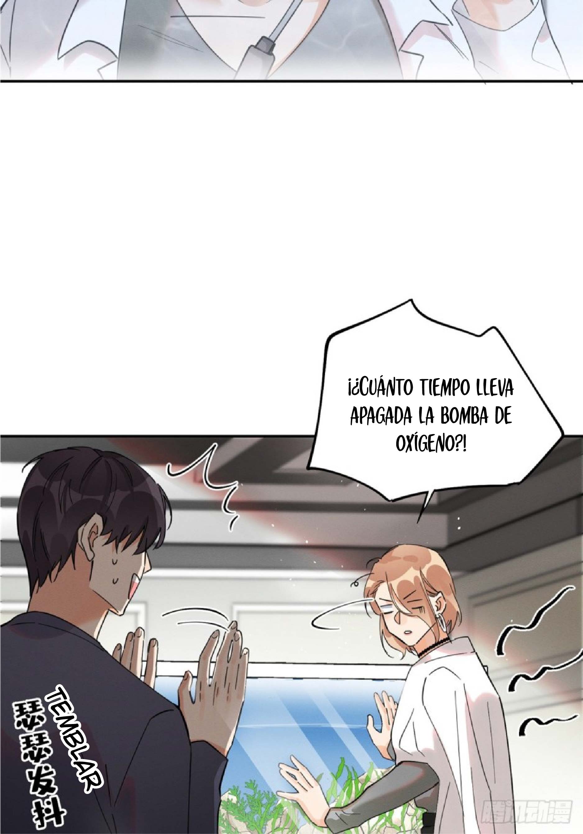 41 Tengo que trabajar duro para ser un gato hoy!