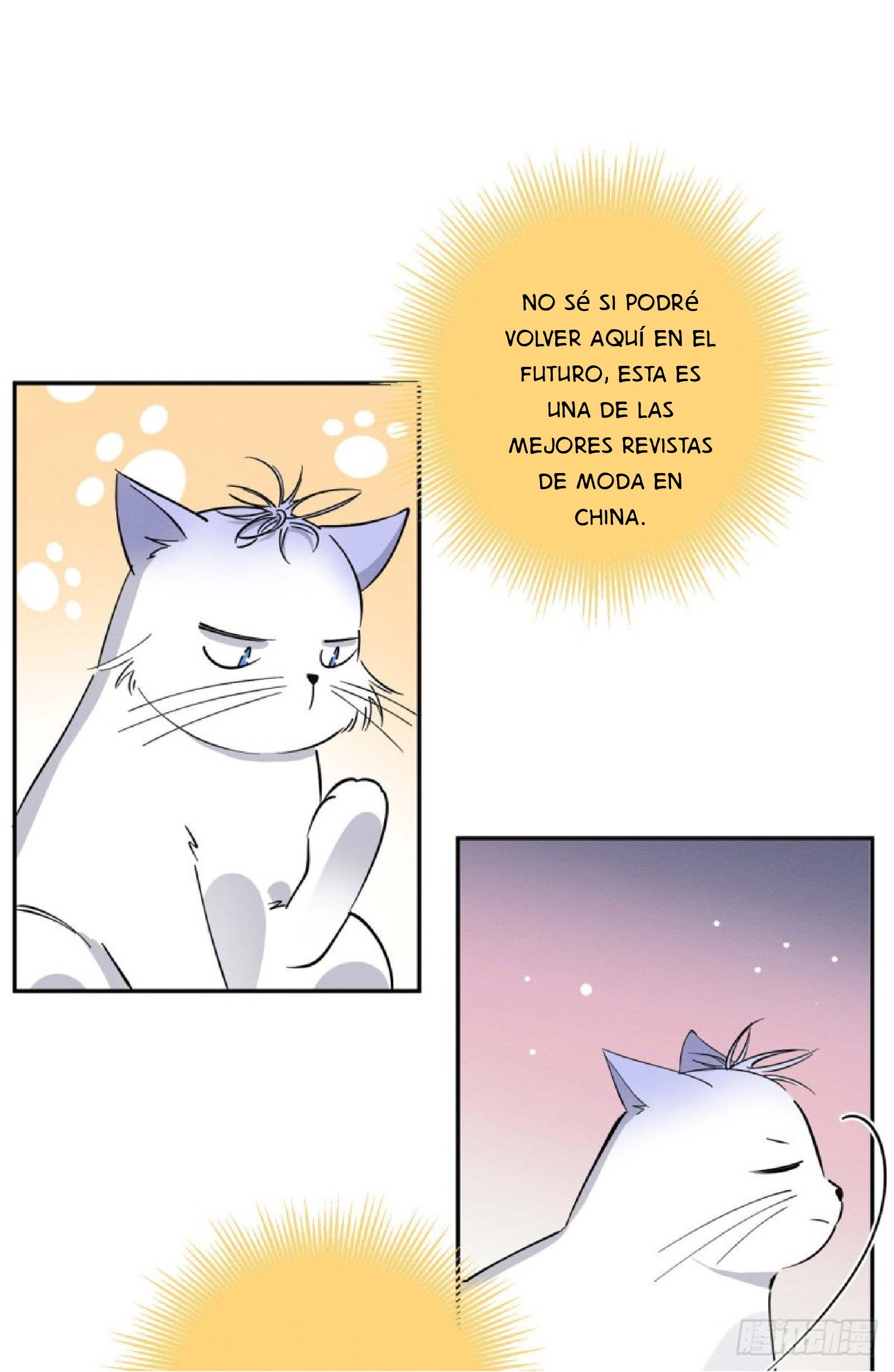 10 Tengo que trabajar duro para ser un gato hoy!