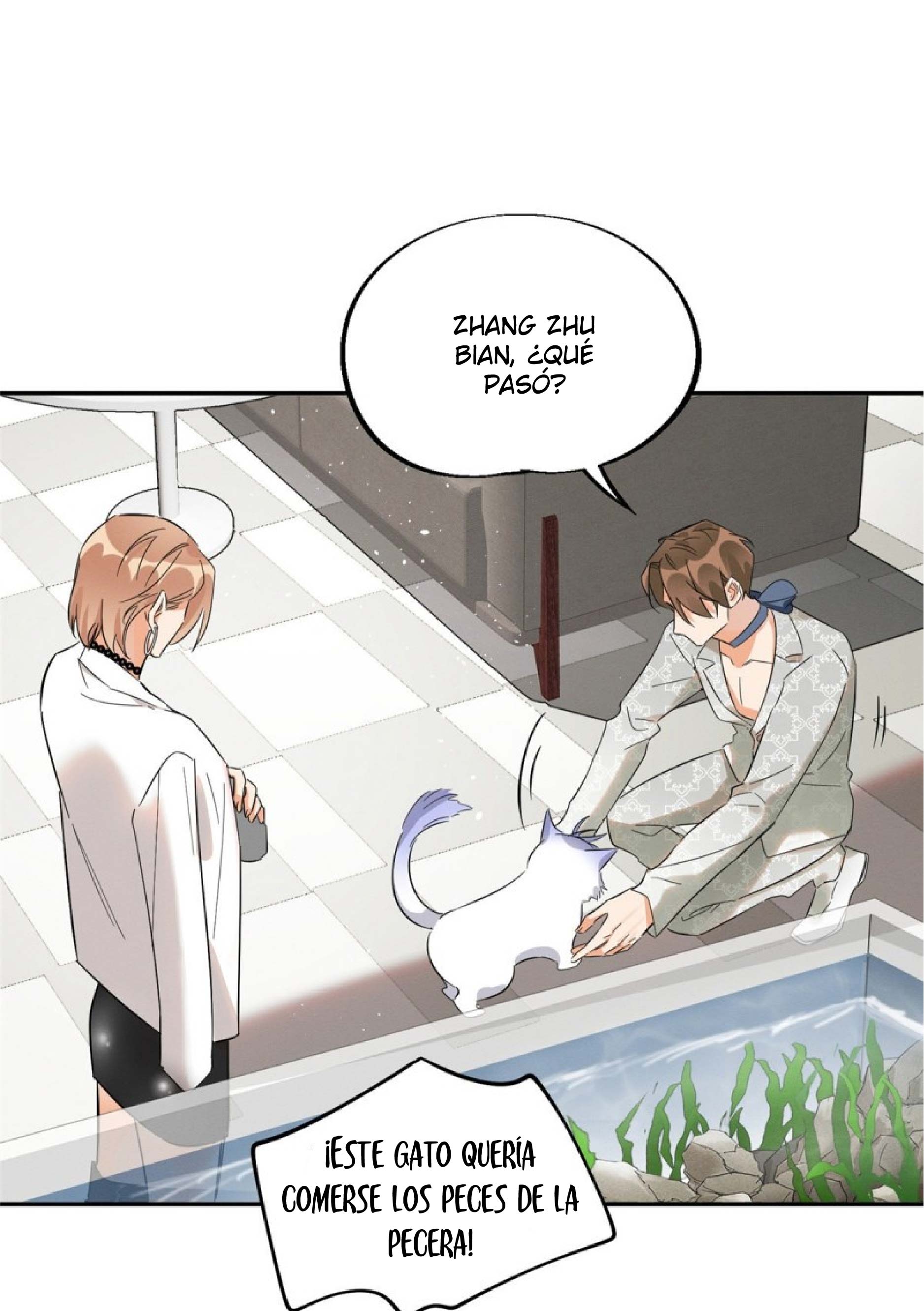 31 Tengo que trabajar duro para ser un gato hoy!