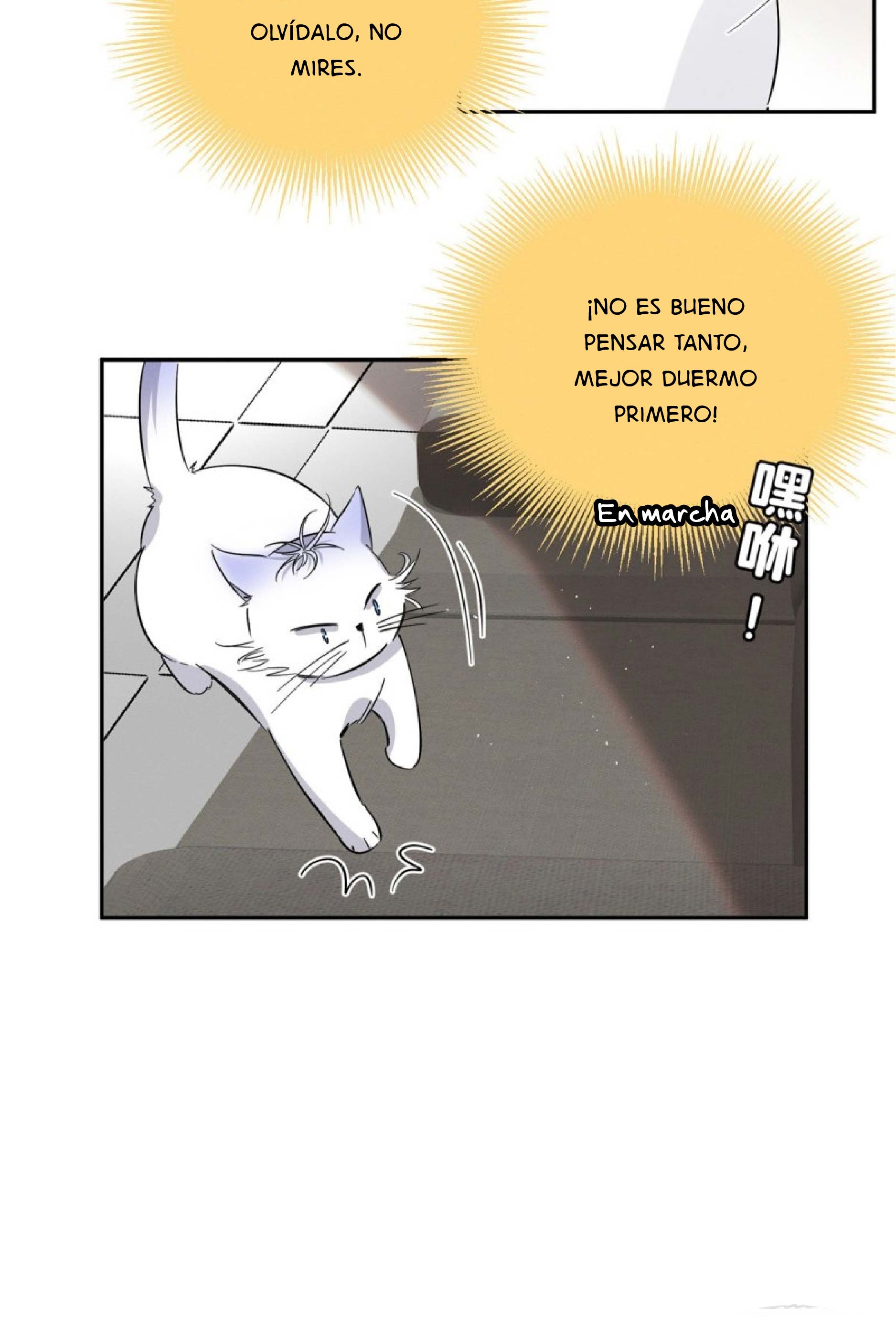 11 Tengo que trabajar duro para ser un gato hoy!