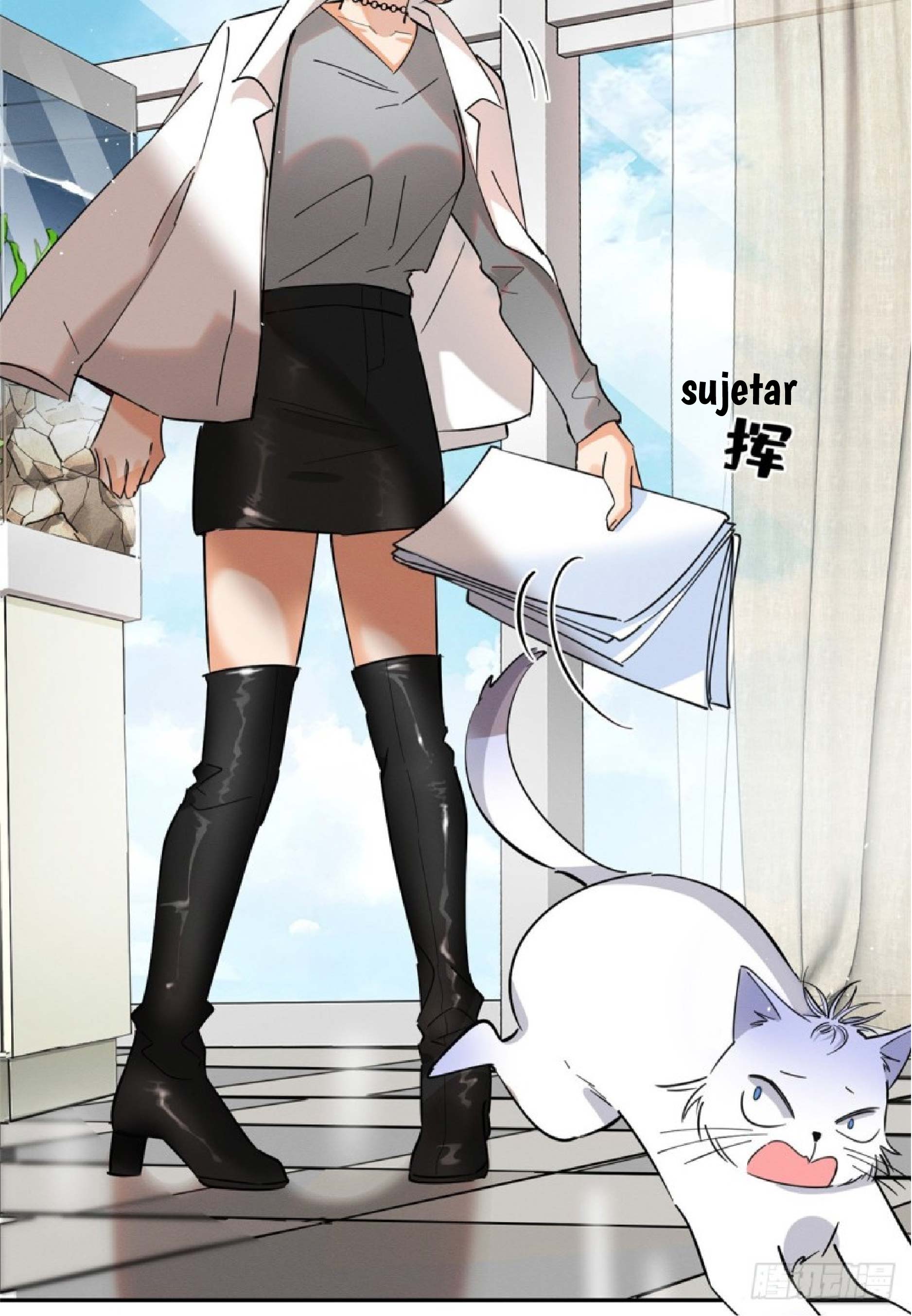 27 Tengo que trabajar duro para ser un gato hoy!