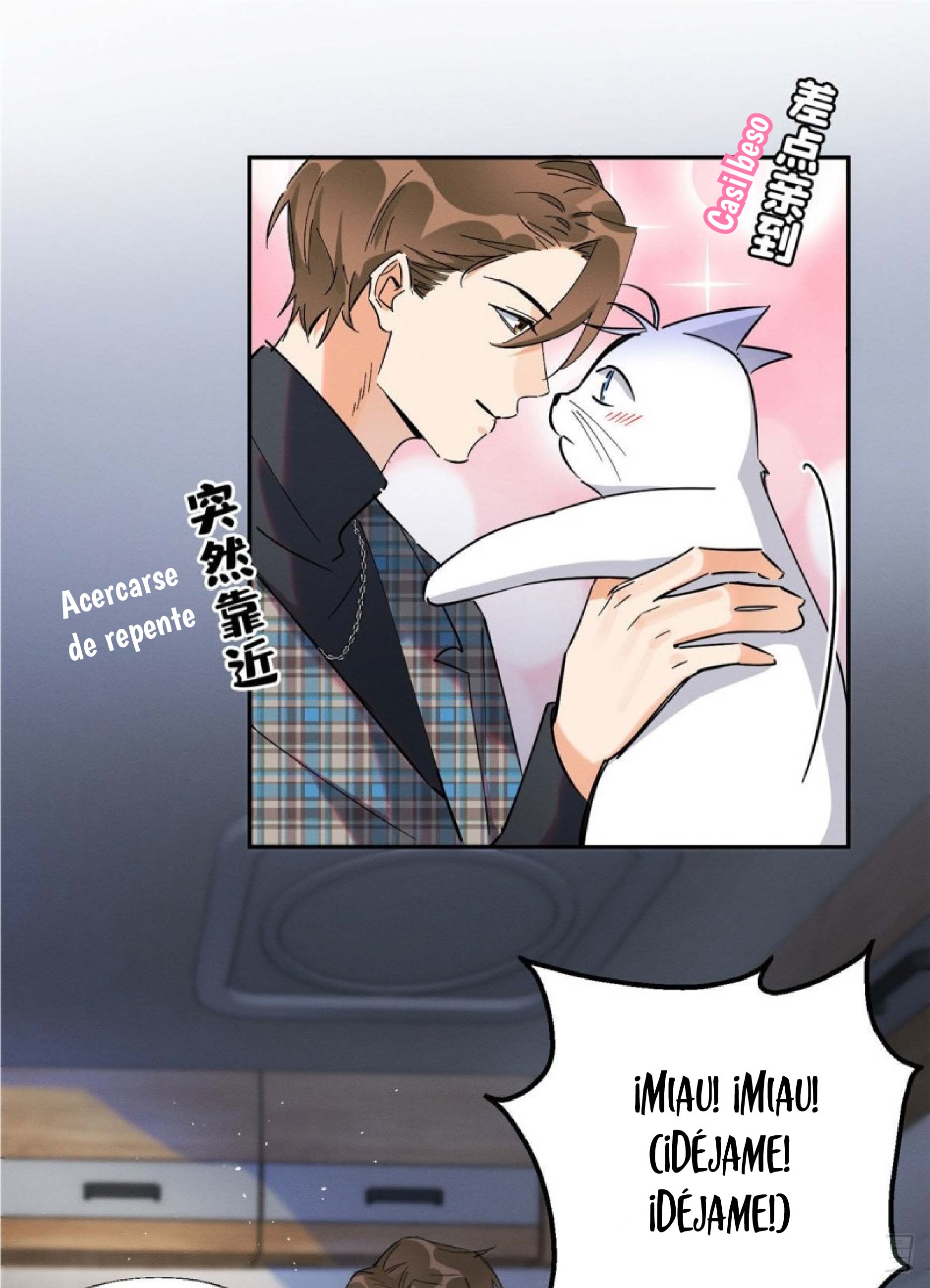 16 Tengo que trabajar duro para ser un gato hoy!