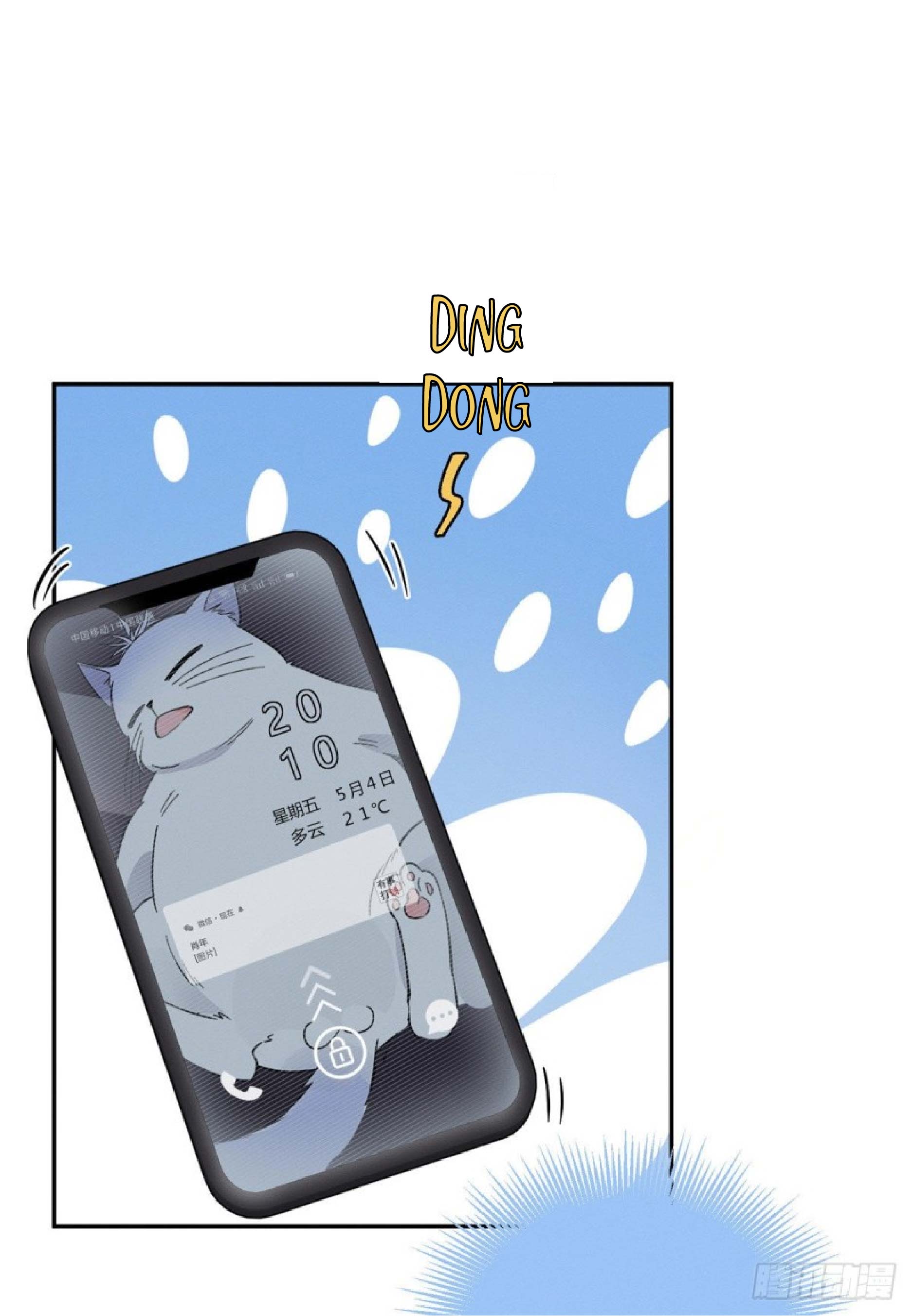 0 Tengo que trabajar duro para ser un gato hoy!