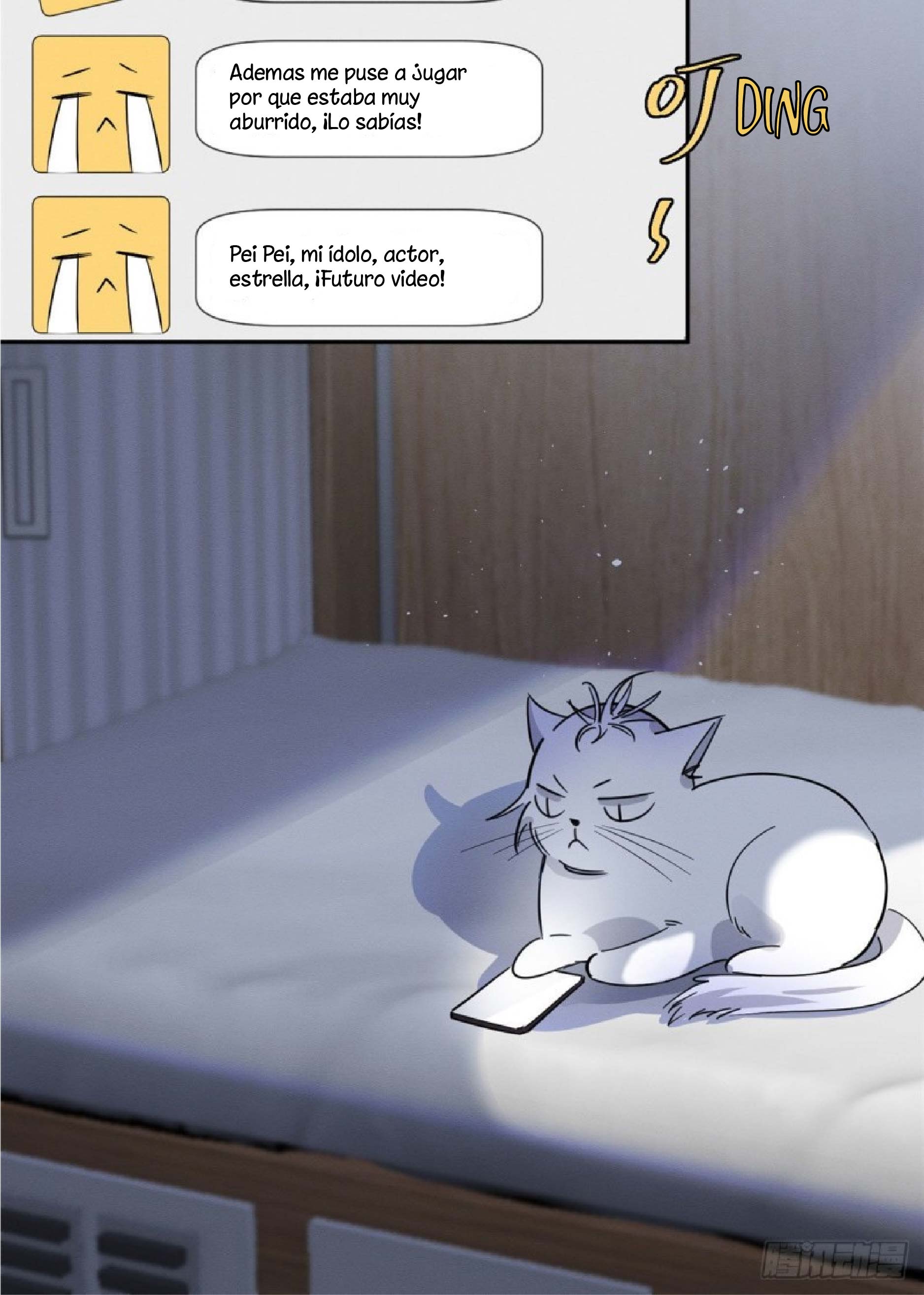 5 Tengo que trabajar duro para ser un gato hoy!