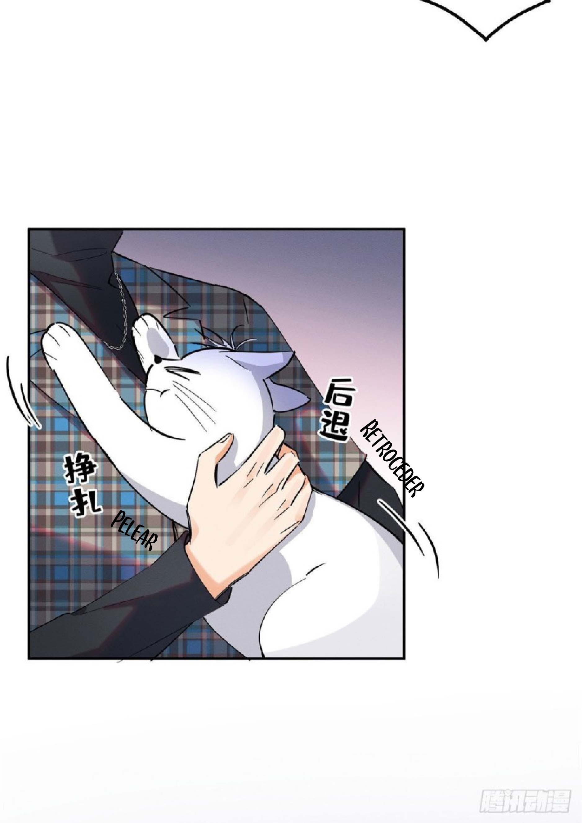 15 Tengo que trabajar duro para ser un gato hoy!