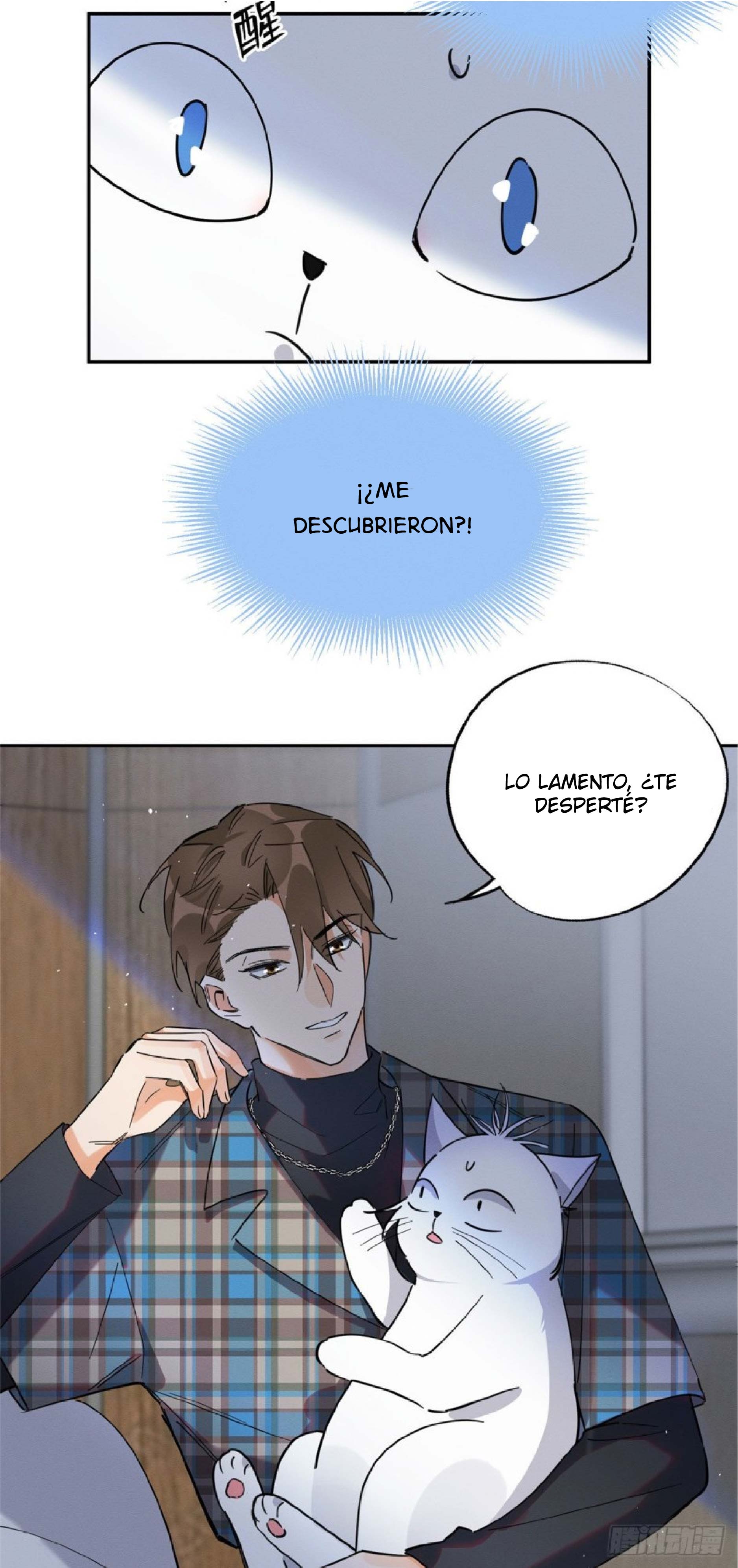 12 Tengo que trabajar duro para ser un gato hoy!