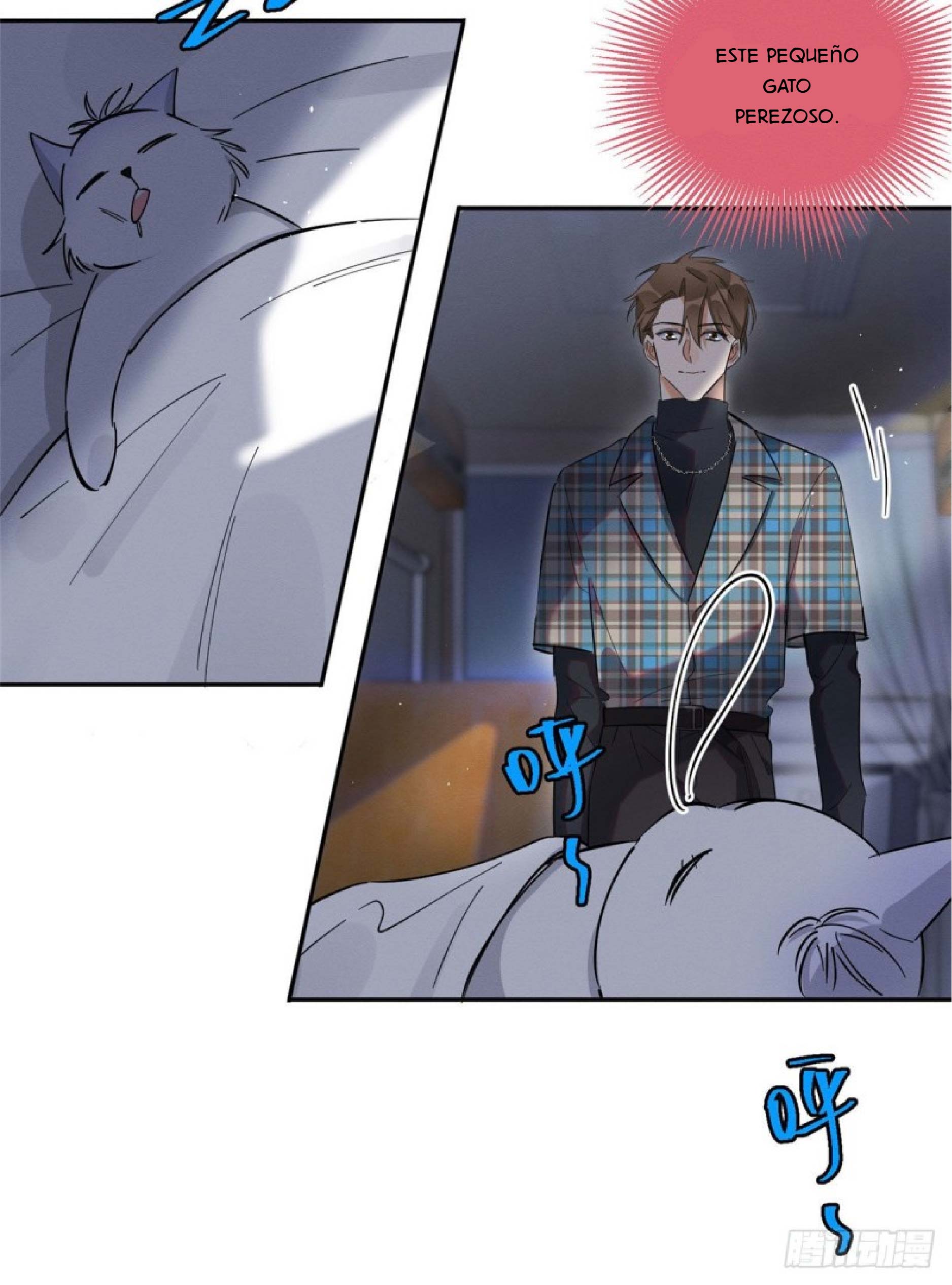 9 Tengo que trabajar duro para ser un gato hoy!